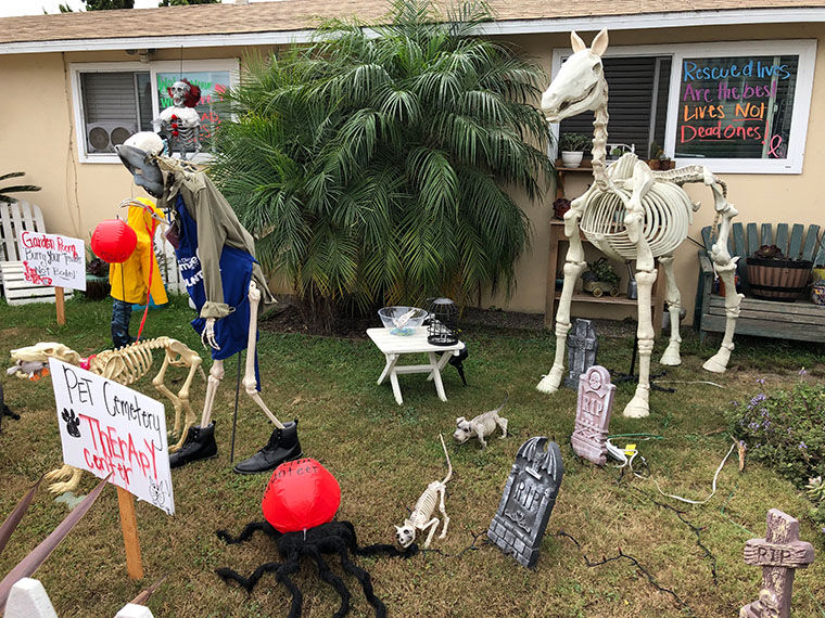 Halloween In Imperial Beach ...